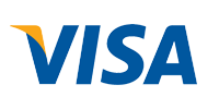 visa icon